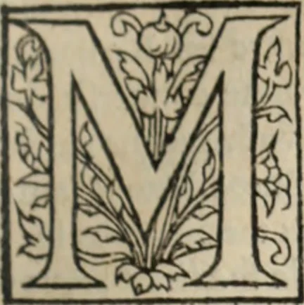 An illustration from L'histoire ecclesiastiqve, 1553, leaf 138