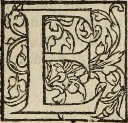 An illustration from L'histoire ecclesiastiqve, 1553, leaf 143