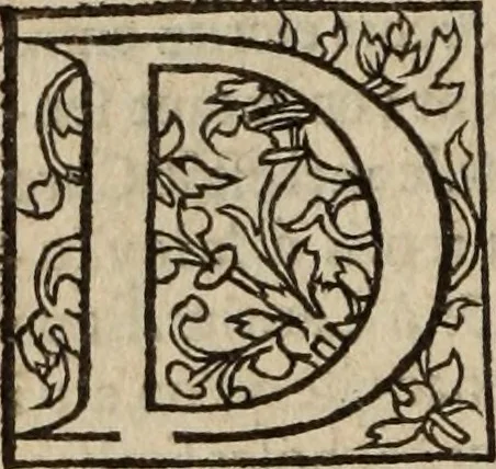 An illustration from L'histoire ecclesiastiqve, 1553, leaf 195