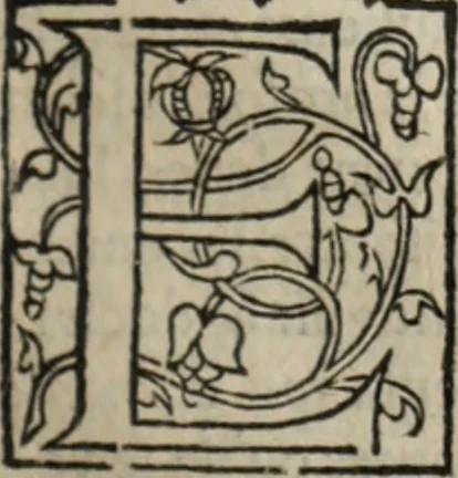 An illustration from L'histoire ecclesiastiqve, 1553, leaf 198