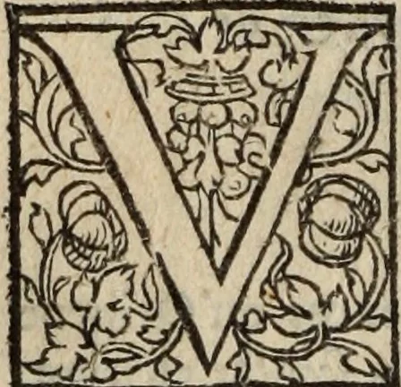 An illustration from L'histoire ecclesiastiqve, 1553, leaf 199