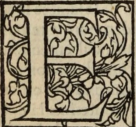 An illustration from L'histoire ecclesiastiqve, 1553, leaf 205
