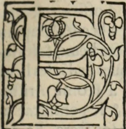 An illustration from L'histoire ecclesiastiqve, 1553, leaf 22