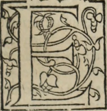 An illustration from L'histoire ecclesiastiqve, 1553, leaf 226