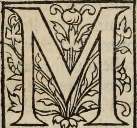 An illustration from L'histoire ecclesiastiqve, 1553, leaf 233