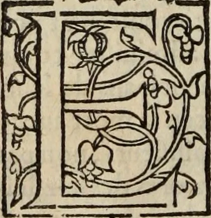 An illustration from L'histoire ecclesiastiqve, 1553, leaf 235