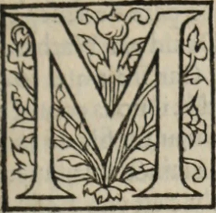 An illustration from L'histoire ecclesiastiqve, 1553, leaf 24