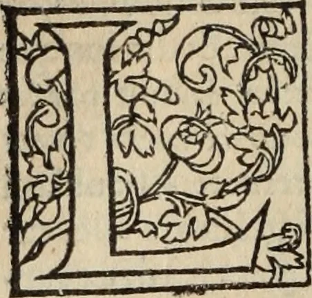 An illustration from L'histoire ecclesiastiqve, 1553, leaf 249