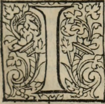 An illustration from L'histoire ecclesiastiqve, 1553, leaf 252
