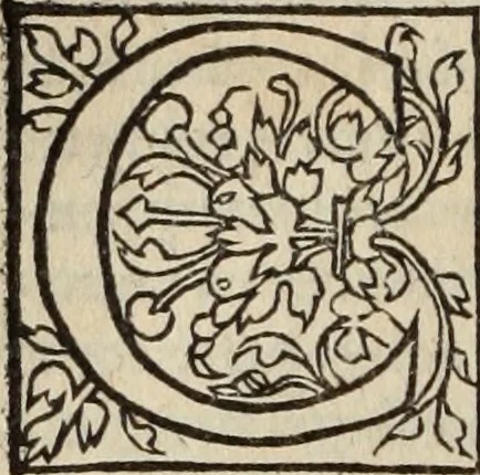 An illustration from L'histoire ecclesiastiqve, 1553, leaf 255