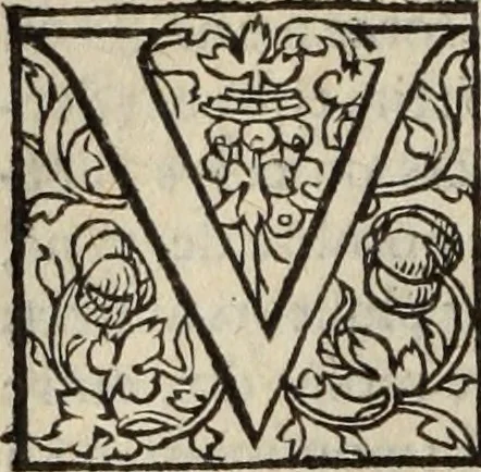 An illustration from L'histoire ecclesiastiqve, 1553, leaf 263