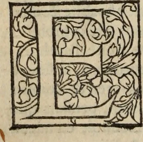 An illustration from L'histoire ecclesiastiqve, 1553, leaf 27