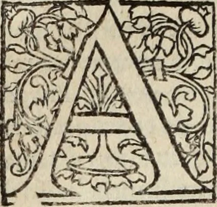 An illustration from L'histoire ecclesiastiqve, 1553, leaf 281