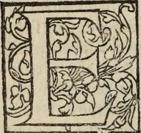 An illustration from L'histoire ecclesiastiqve, 1553, leaf 299