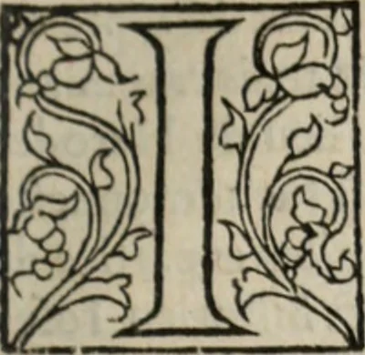 An illustration from L'histoire ecclesiastiqve, 1553, leaf 30