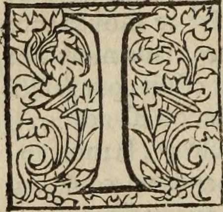 An illustration from L'histoire ecclesiastiqve, 1553, leaf 31