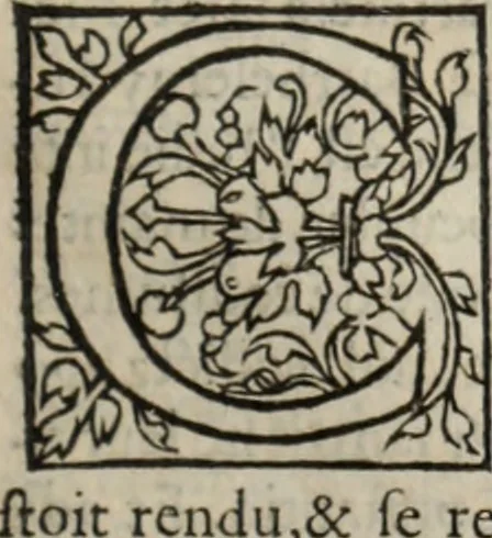 An illustration from L'histoire ecclesiastiqve, 1553, leaf 310