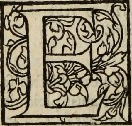 An illustration from L'histoire ecclesiastiqve, 1553, leaf 311