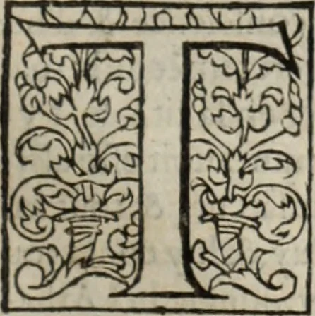 An illustration from L'histoire ecclesiastiqve, 1553, leaf 322