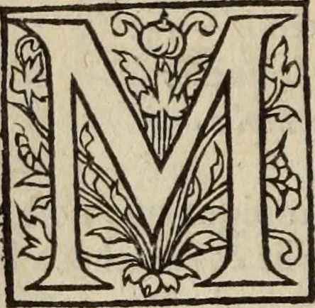 An illustration from L'histoire ecclesiastiqve, 1553, leaf 33