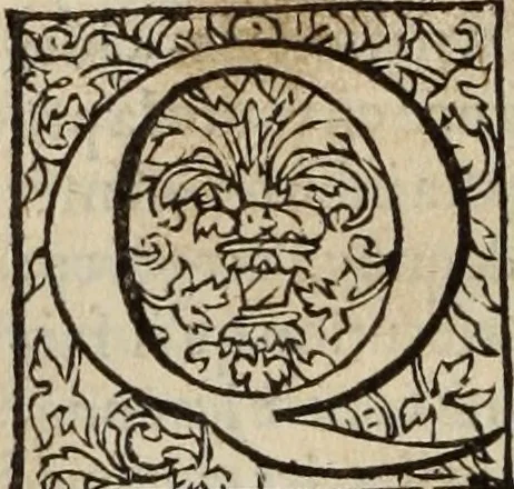 An illustration from L'histoire ecclesiastiqve, 1553, leaf 355