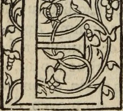 An illustration from L'histoire ecclesiastiqve, 1553, leaf 359
