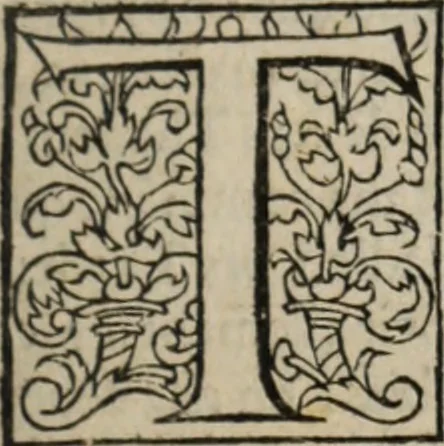 An illustration from L'histoire ecclesiastiqve, 1553, leaf 36