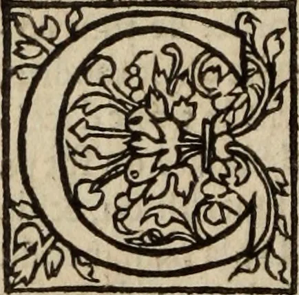 An illustration from L'histoire ecclesiastiqve, 1553, leaf 365