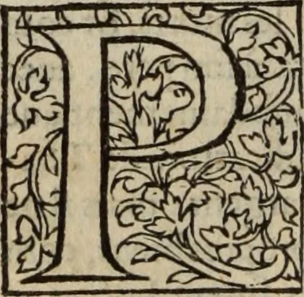 An illustration from L'histoire ecclesiastiqve, 1553, leaf 39