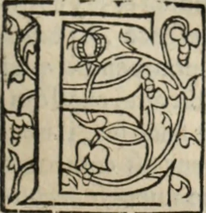 An illustration from L'histoire ecclesiastiqve, 1553, leaf 44