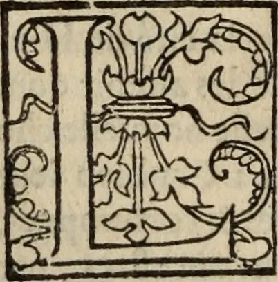 An illustration from L'histoire ecclesiastiqve, 1553, leaf 47