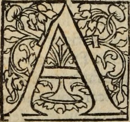 An illustration from L'histoire ecclesiastiqve, 1553, leaf 51