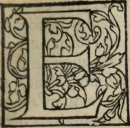 An illustration from L'histoire ecclesiastiqve, 1553, leaf 52