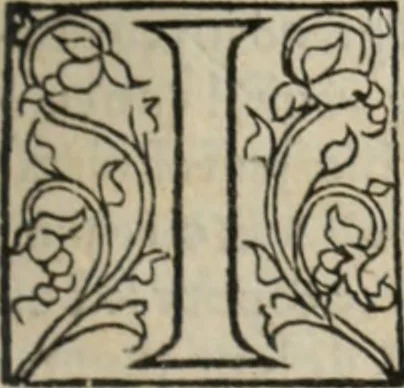 An illustration from L'histoire ecclesiastiqve, 1553, leaf 56