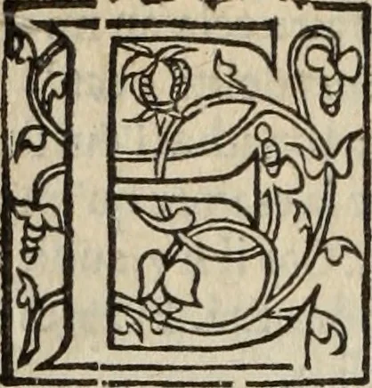 An illustration from L'histoire ecclesiastiqve, 1553, leaf 63