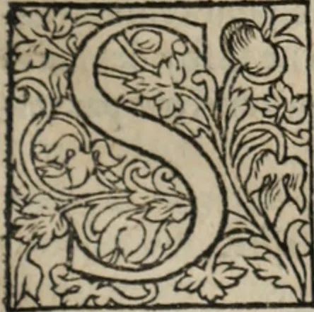 An illustration from L'histoire ecclesiastiqve, 1553, leaf 70