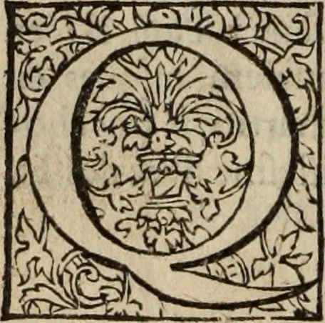 An illustration from L'histoire ecclesiastiqve, 1553, leaf 71