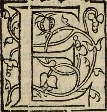 An illustration from L'histoire ecclesiastiqve, 1553, leaf 81