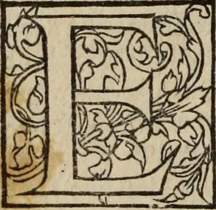 An illustration from L'histoire ecclesiastiqve, 1553, leaf 9