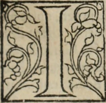 An illustration from L'histoire ecclesiastiqve, 1553, leaf 98
