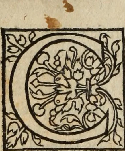 An illustration from L'histoire ecclesiastiqve, 1553, leaf 99