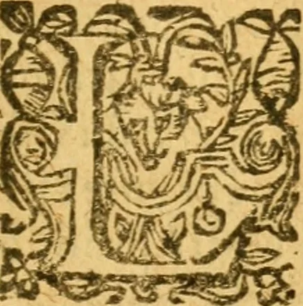 An illustration from L'histoire et discours au vray du siège qui fut mis devant la ville d'Orléans, par les Anglois, le mardy XII jour d'octobre MCCCCXXVII regnant alors Charles VII, roy de France. Contenant toutes les saillies... avec la venue de Jeanne la Pucelle... Renue & augmente de nouveau outres les precedentes impressions, 1621, leaf 244