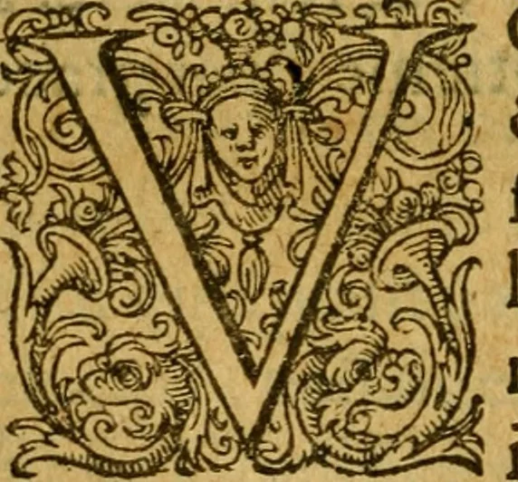 An illustration from L'histoire et discours au vray du siège qui fut mis devant la ville d'Orléans, par les Anglois, le mardy XII jour d'octobre MCCCCXXVII regnant alors Charles VII, roy de France ..., 1606, leaf 155