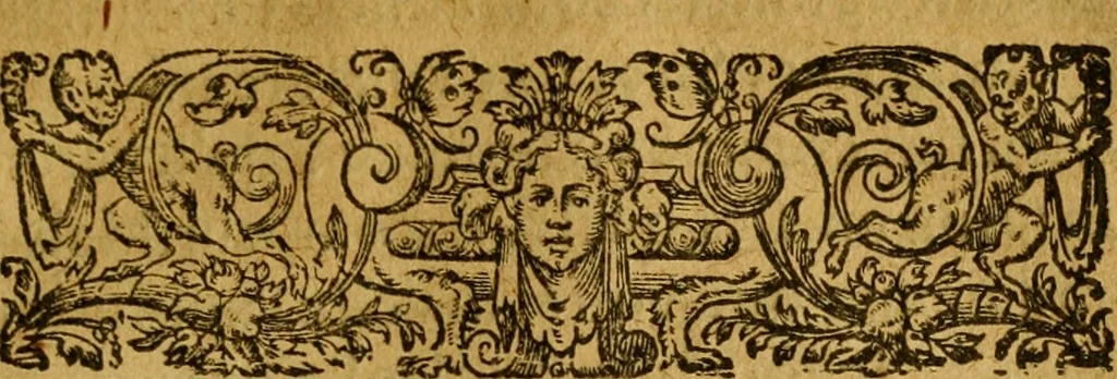 An illustration from L'histoire et discours au vray du siège qui fut mis devant la ville d'Orléans, par les Anglois, le mardy XII jour d'octobre MCCCCXXVII regnant alors Charles VII, roy de France ..., 1606, leaf 170