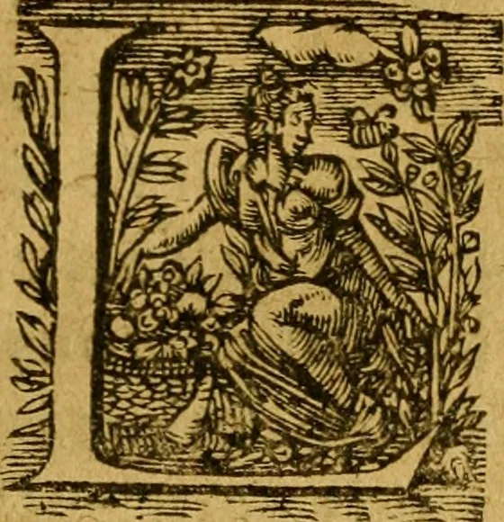An illustration from L'histoire et discours au vray du siège qui fut mis devant la ville d'Orléans, par les Anglois, le mardy XII jour d'octobre MCCCCXXVII regnant alors Charles VII, roy de France ..., 1606, leaf 170