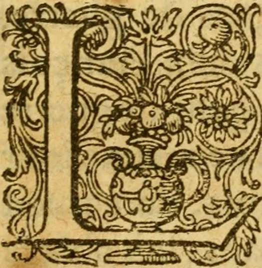 An illustration from L'histoire et discours au vray du siège qui fut mis devant la ville d'Orléans, par les Anglois, le mardy XII jour d'octobre MCCCCXXVII regnant alors Charles VII, roy de France ..., 1606, leaf 14