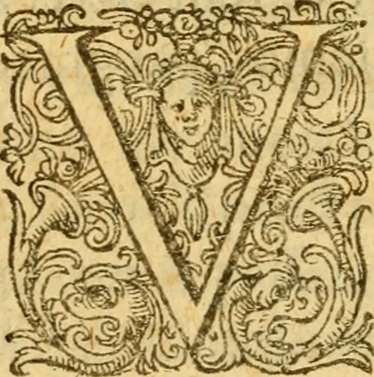 An illustration from L'histoire et discours au vray du siège qui fut mis devant la ville d'Orléans, par les Anglois, le mardy XII jour d'octobre MCCCCXXVII regnant alors Charles VII, roy de France ..., 1606, leaf 155