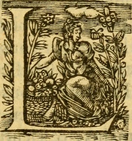 An illustration from L'histoire et discours au vray du siège qui fut mis devant la ville d'Orléans, par les Anglois, le mardy XII jour d'octobre MCCCCXXVII regnant alors Charles VII, roy de France ..., 1606, leaf 170