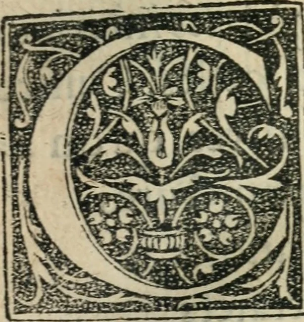 An illustration from L'histoire naturelle des estranges poissons marins, avec la vraie peincture & description du daulphin, & de plusieurs autres de son espece, 1551, leaf 10
