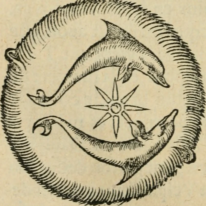 An illustration from L'histoire naturelle des estranges poissons marins, avec la vraie peincture & description du daulphin, & de plusieurs autres de son espece, 1551, leaf 29